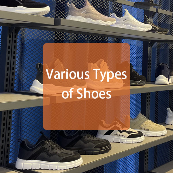 Various Types of Shoes
